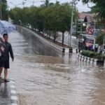 694a723c 1e75 47eb ba03 254d1686d6c1