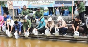 IMG 20251126 180019 621