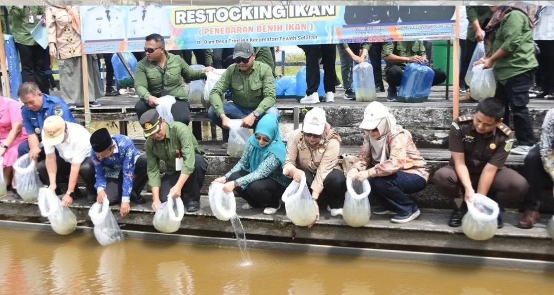 IMG 20251126 180019 621