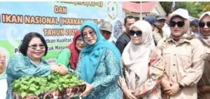 IMG 20251126 181349 647