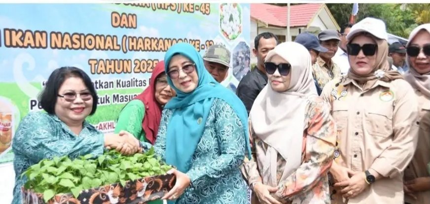 IMG 20251126 181349 647