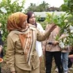 587807478 18431668399128864 6737261518655048984 n (1)