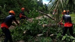 IMG 20251222 190814 313