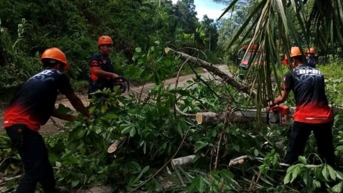 IMG 20251222 190814 313