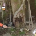 IMG 20251222 192057 137