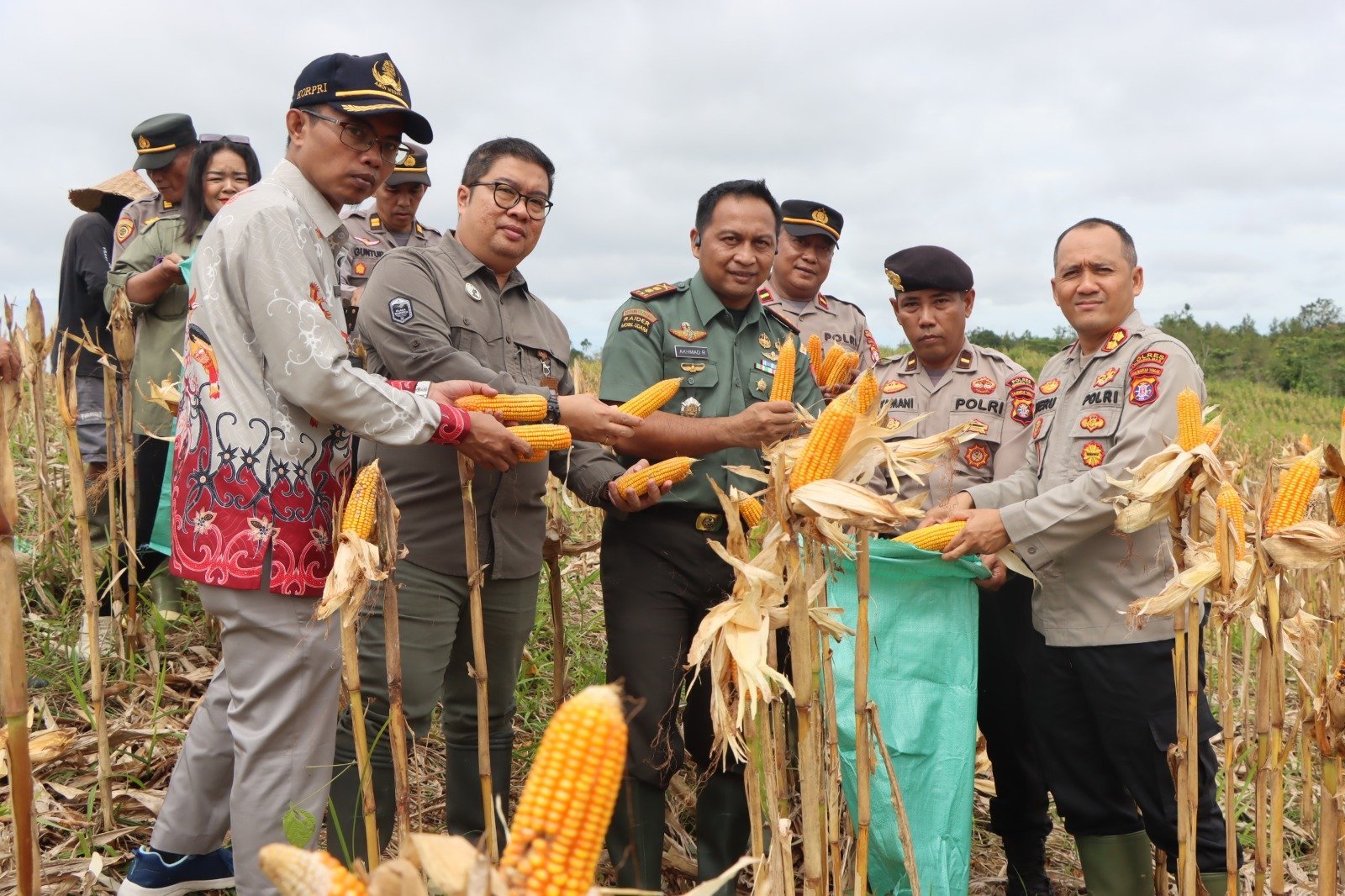 Polres Gunung Mas Panen 1,5 Ton Jagung, Perkuat Ketahanan Pangan Daerah