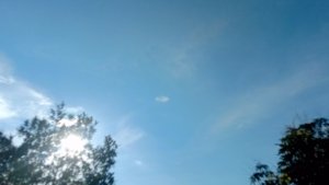 BMKG Prediksi Musim Kemarau Datang Lebih Awal Sebagian Besar Wilayah Indonesia