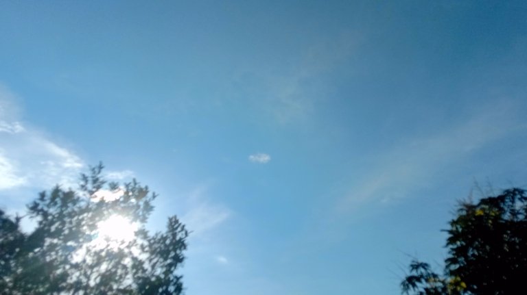 BMKG Prediksi Musim Kemarau Datang Lebih Awal Sebagian Besar Wilayah Indonesia